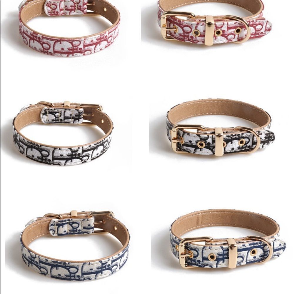 ❤️‍🔥 CLEARANCE❤️‍🔥 Luxe Pawpaw Pet Collar